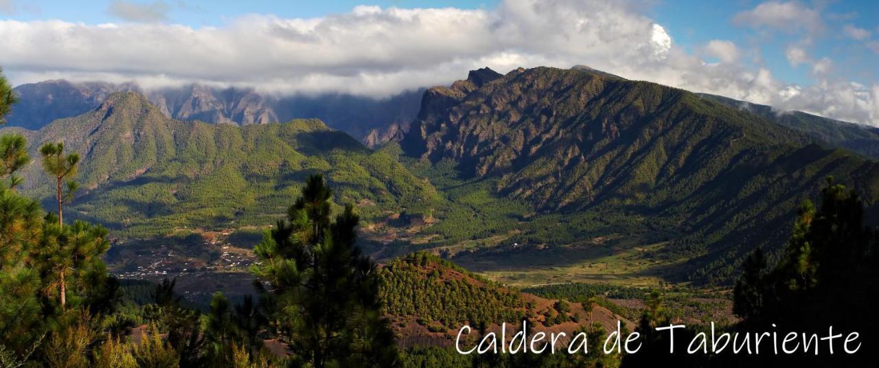 Arenita *